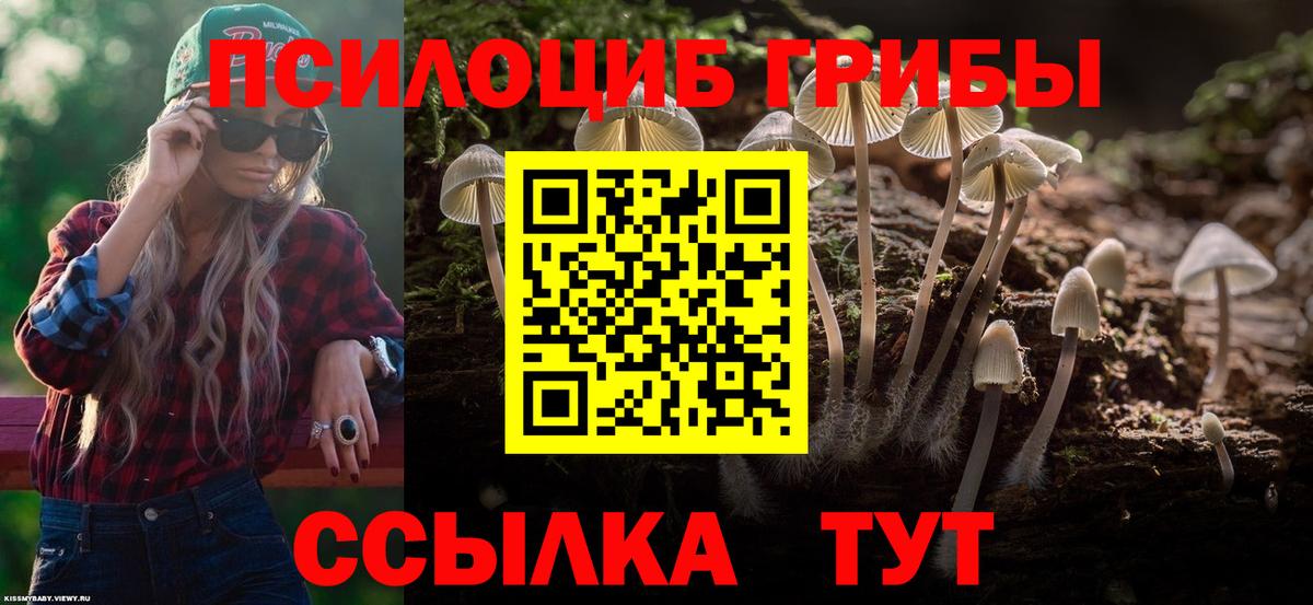 Галлюциногенные грибы мицелий  Вход с VPN  Ессентуки  Галлюциногенные грибы GOLDEN TEACHER 